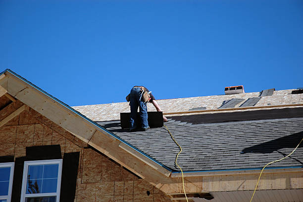 Best Roof Moss and Algae Removal  in University Place, WA