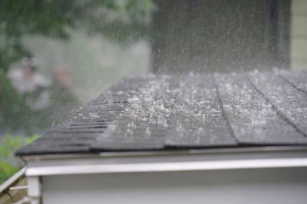 Best Asphalt Shingles Roofing  in University Place, WA