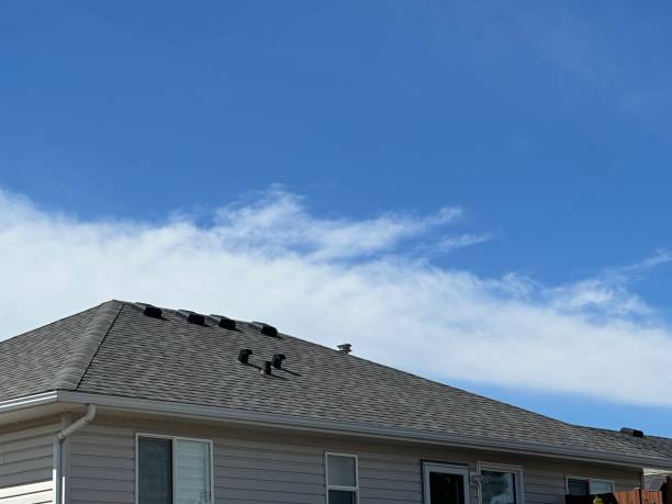  University Place, WA Roofing Service Pros